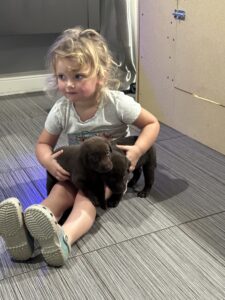 My Granddaughter in puppy heaven!