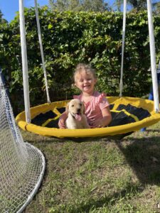 Borosky Labradors: Dunkin (Yellow Lab) Going for a swing!