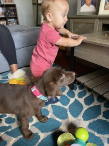 Sadie Mae waiting for food to fall... 