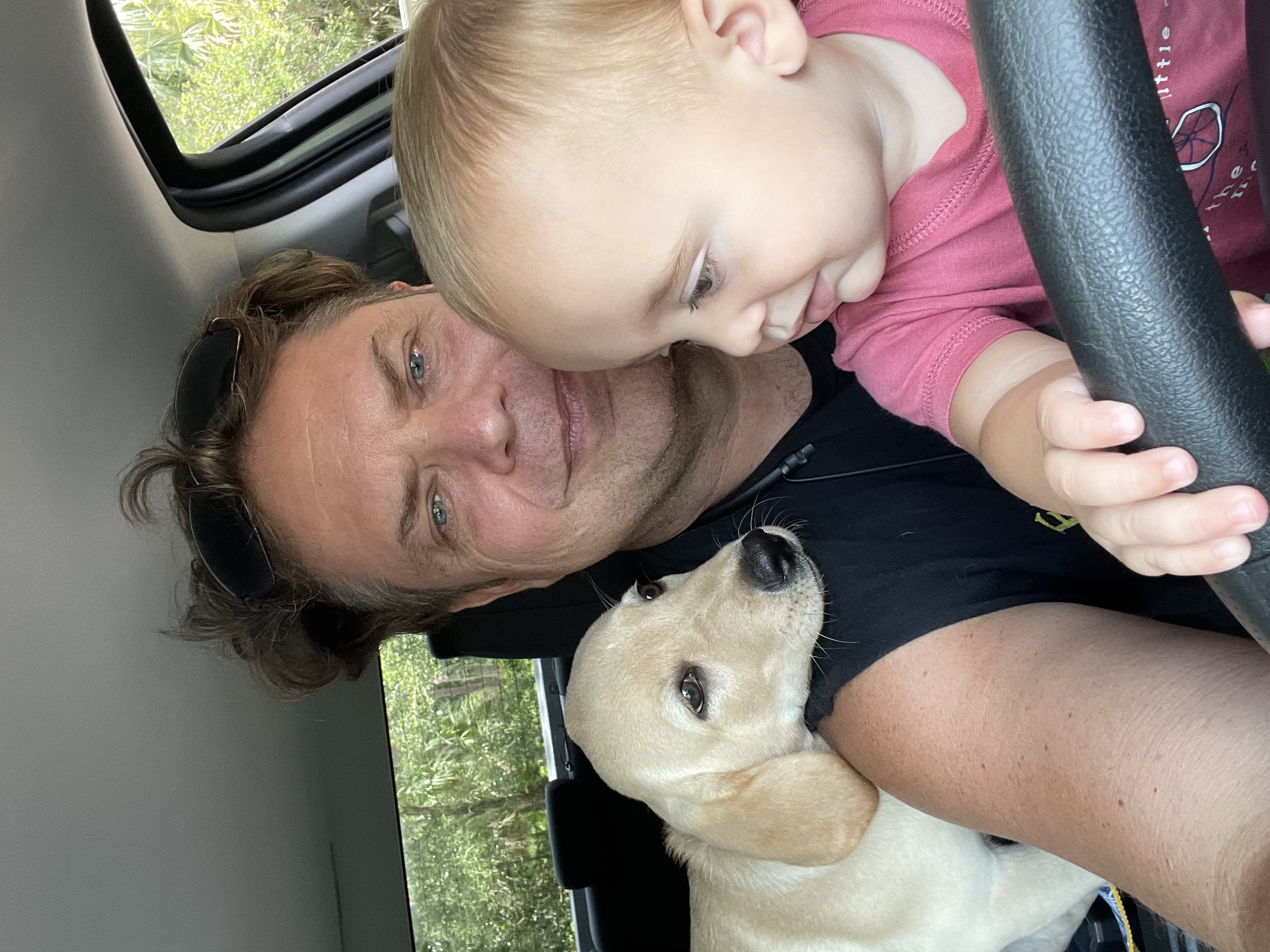Remy the champagne Labrador gently with a young child at Borosky Labradors